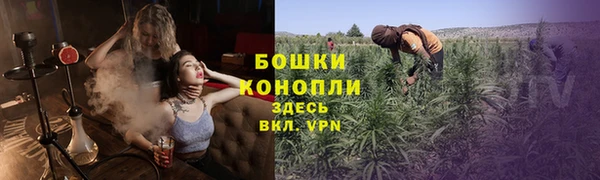 прущие грибы Аркадак