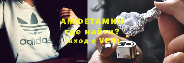 прущие грибы Аркадак