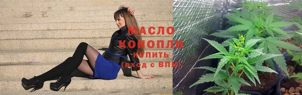молекула духа Покров