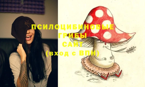 прущие грибы Аркадак
