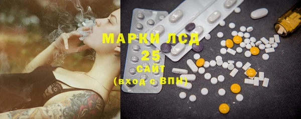 прущие грибы Аркадак