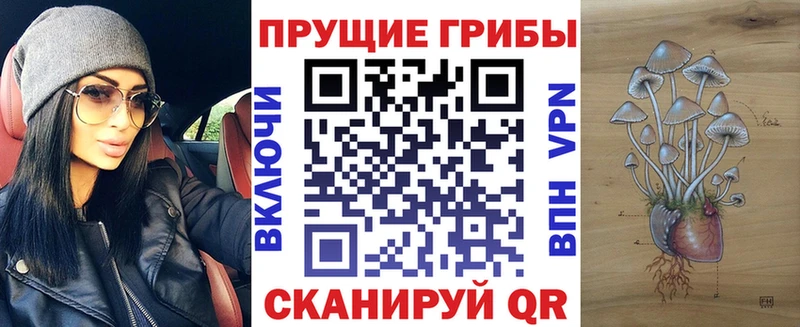 Псилоцибиновые грибы мицелий Армянск